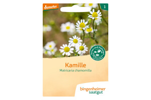 Kamille Matricaria chamomilla