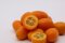 Kumquat - 100g | EG-Bio Spanien Hk.II