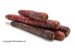Möhren Purple Haze - kg | Bioland Deutschland Hk2