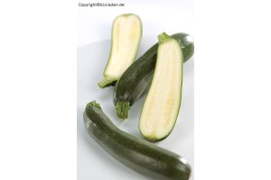 Zucchini gr&uuml;n - kg | EG-Bio Italien Hk.2