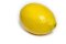 Zitronen - Stück | Primofiore EG-Bio Spanien - Hk. II