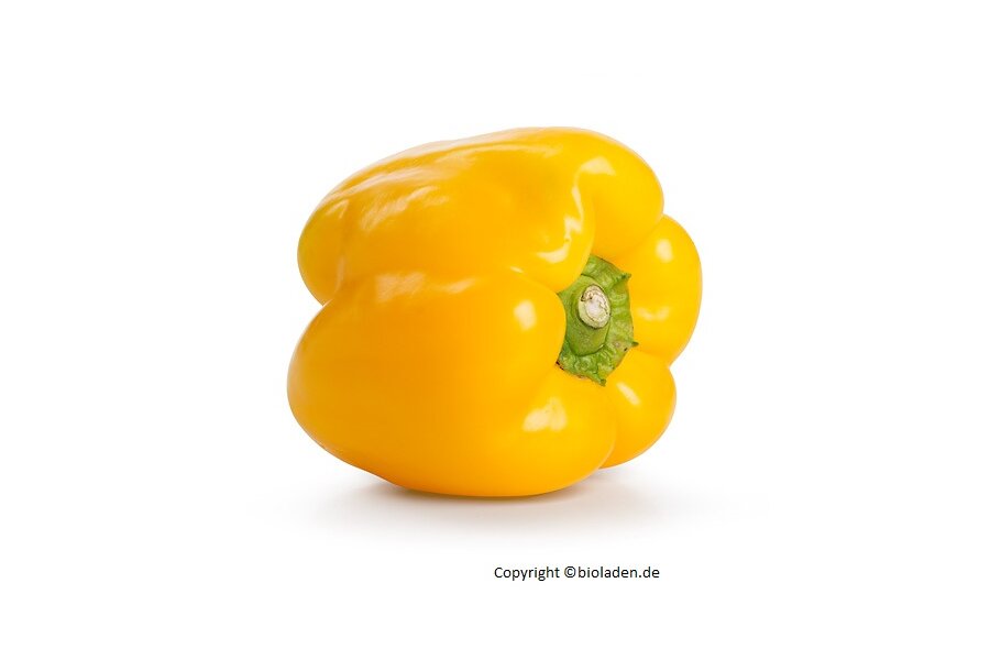 Paprika Gelb - kg | EG-Bio Spanien Hk.2