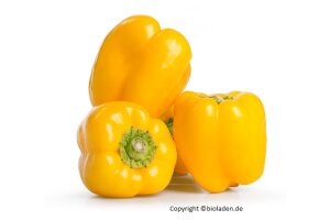 Paprika Gelb - kg | Demeter Spanien Hk,II