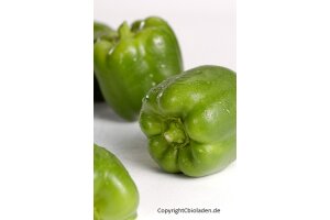 Paprika grün | EG-Bio Spanien Hk.II