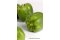 Paprika grün | EG-Bio Spanien Hk.II