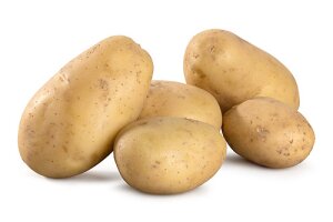 Frühkartoffeln Universa - kg |  festkochend EG-Bio...
