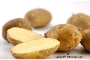 Kartoffeln Marabel - kg | vorw. festk. Demeter Deutschland