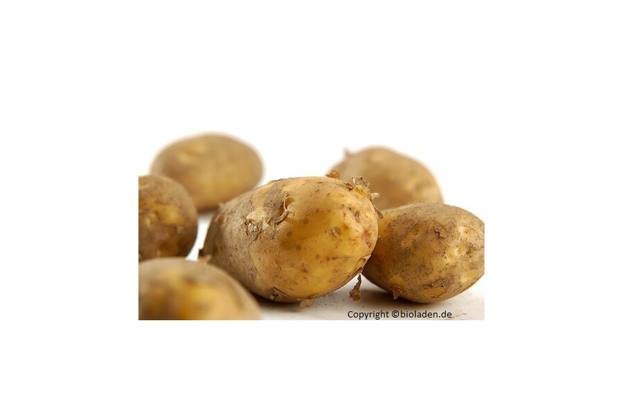 Kartoffeln Nicola - kg | festk. Bioland Deutschland