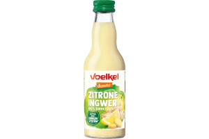 Zitrone Ingwer Getränk