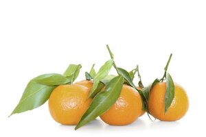 Clementinen mit Blatt - kg | Naturland Italien Hk.II